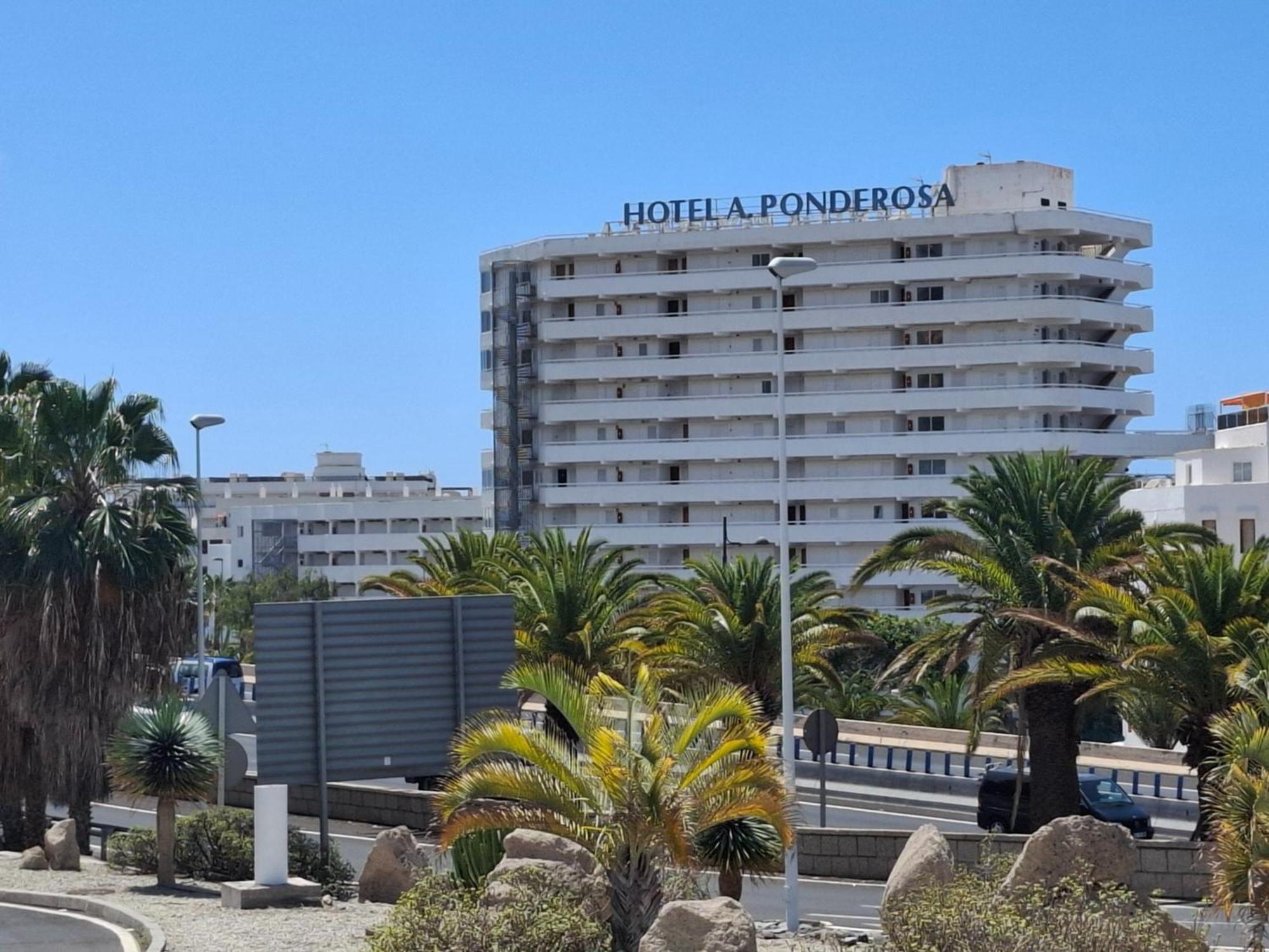 Under The Palm Apartman Playa de las Américas Kültér fotó